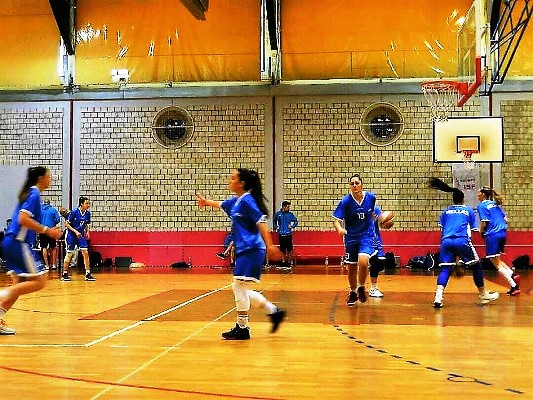 ΚΟΡΙΤΣΙΑ ΜΠΑΣΚΕΤ ΚΡΟΑΤΙΑ 2017