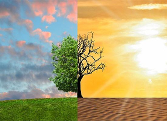 climate change 06