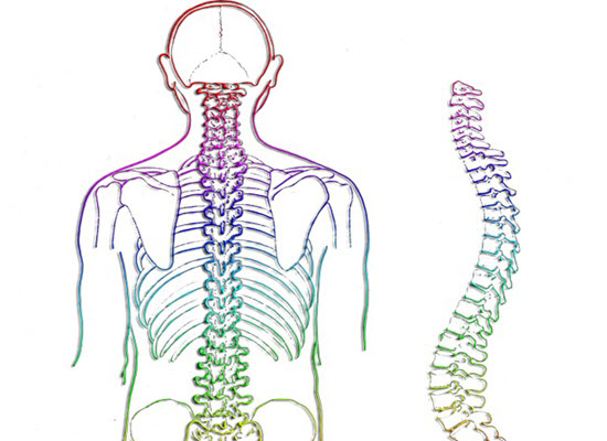 spine 257870 960 720