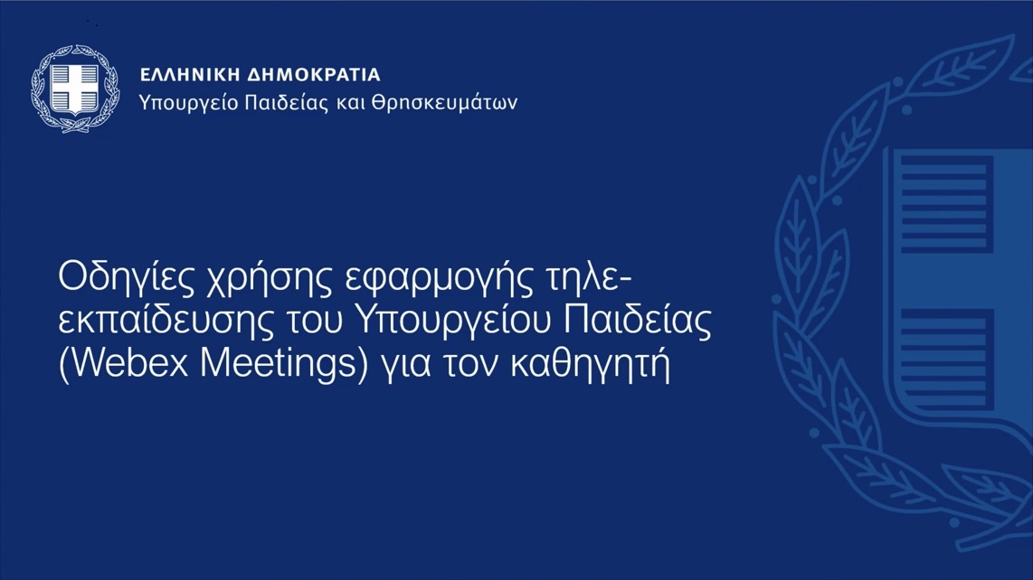 odigies xrisis webex kathigiti 