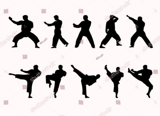 stock vector taekwondo and karate silhouettes the set of martial art silhouette 2207363301